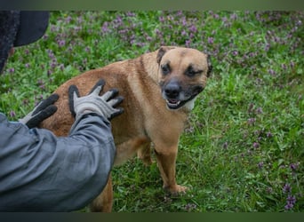 Berta: Bald ganz nah an deinem Herzen?