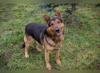 Xaver sucht ein Zuhause