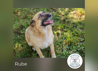 Rube: Liebevolle Begleiterin