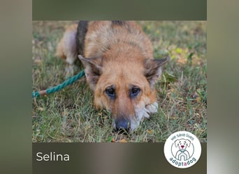 Selina sucht ein Zuhause
