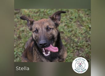 Stella möchte endlich dazugehören