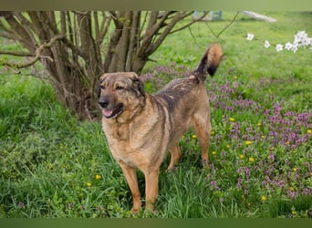Smiley: Voller Liebe und Hoffnung