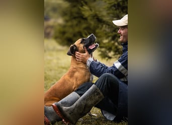 Bonita: Deine neue Wegbegleiterin?