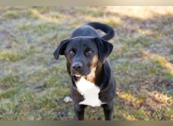 Larry: Sportskanone sucht Gleichgesinnte