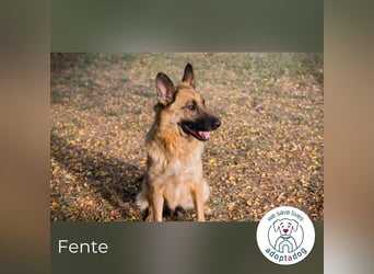 Fente: liebevolle Mama sucht fürsorgliches Zuhause