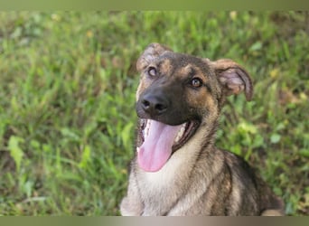 Marlee: Lebensfreude sucht Zuhause