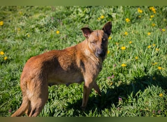 Cassy sucht ein Zuhause