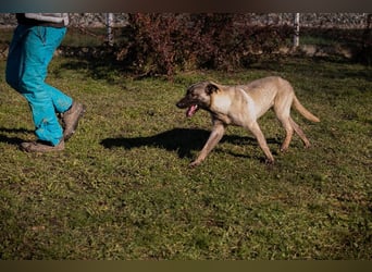 Amelie: Sanftmut trotz Schmerz