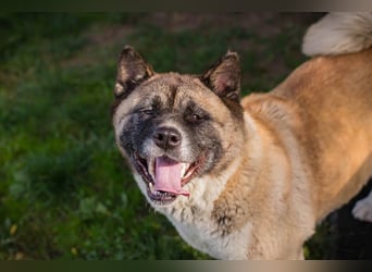 Hexe: Kämpferin mit großem Herzen