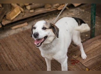 Casper versteht die Welt nicht mehr