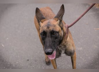 Airi: Verletztes Herz sucht Sicherheit