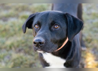 Larry: Sportskanone sucht Gleichgesinnte