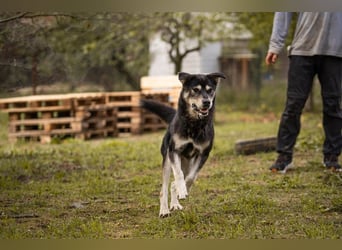 Matze: Verspielter Wirbelwind
