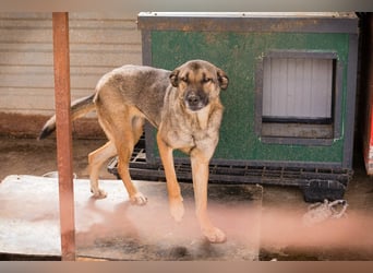 Marlee: Lebensfreude sucht Zuhause
