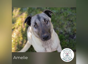 Amelie: Sanftmut trotz Schmerz
