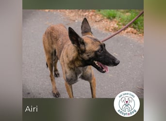 Airi: Verletztes Herz sucht Sicherheit
