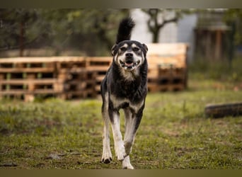 Matze: Verspielter Wirbelwind