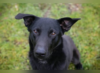 Cassius – Gern im Team unterwegs