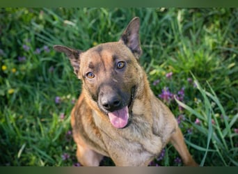 Cassy sucht ein Zuhause