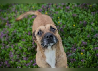 Berta: Bald ganz nah an deinem Herzen?