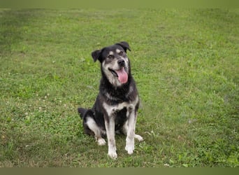 Matze: Verspielter Wirbelwind