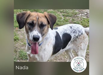 Nada sucht ihr Für-immer-Zuhause