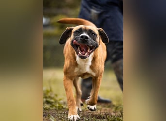 Bonita: Deine neue Wegbegleiterin?