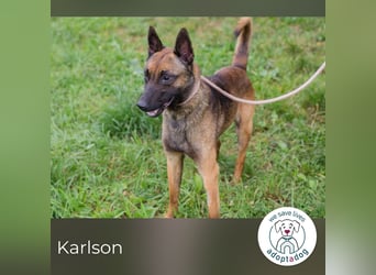 Karlson: Mit Liebe und Führung auf dem Weg ins Glück