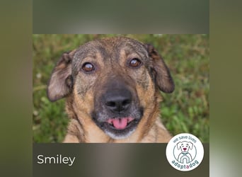 Smiley: Voller Liebe und Hoffnung