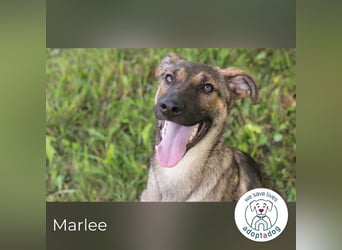 Marlee: Lebensfreude sucht Zuhause