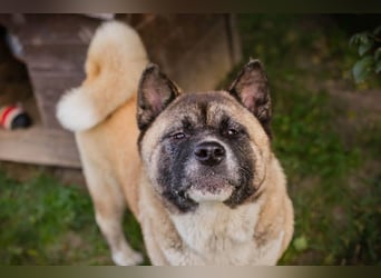 Hexe: Kämpferin mit großem Herzen