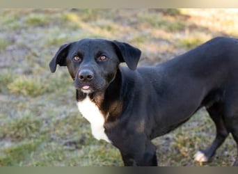 Larry: Sportskanone sucht Gleichgesinnte