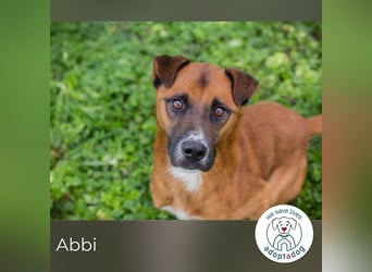 Abbi: Verdient einen Neuanfang