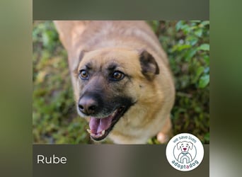 Rube: Liebevolle Begleiterin
