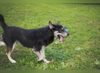 Matze: Verspielter Wirbelwind