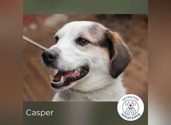 Casper versteht die Welt nicht mehr