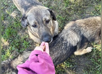 Smiley: Voller Liebe und Hoffnung