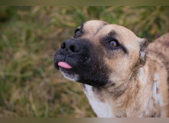Berta: Bald ganz nah an deinem Herzen?