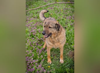 Smiley: Voller Liebe und Hoffnung