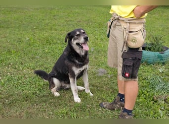 Matze: Verspielter Wirbelwind