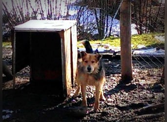 Bently: sucht Sicherheit