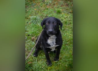 Heiko: Sucht Liebe und schenkt Freude