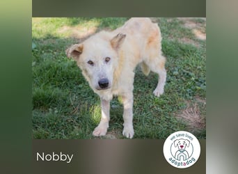 Nobby: Letzte Jahre in Geborgenheit