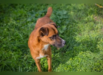 Abbi: Verdient einen Neuanfang