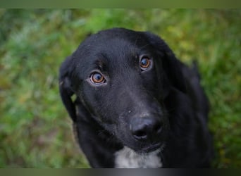 Heiko: Sucht Liebe und schenkt Freude