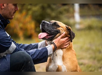 Bonita: Deine neue Wegbegleiterin?