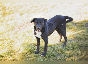 Larry: Sportskanone sucht Gleichgesinnte