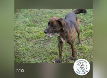 Mo: Sozial und voller Lebenslust