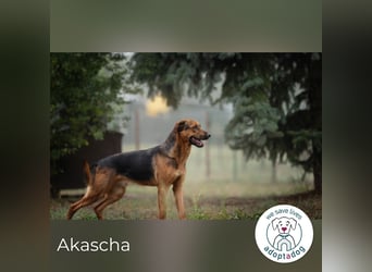 Akascha: Möchte endlich nach Hause!