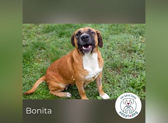 Bonita: Deine neue Wegbegleiterin?